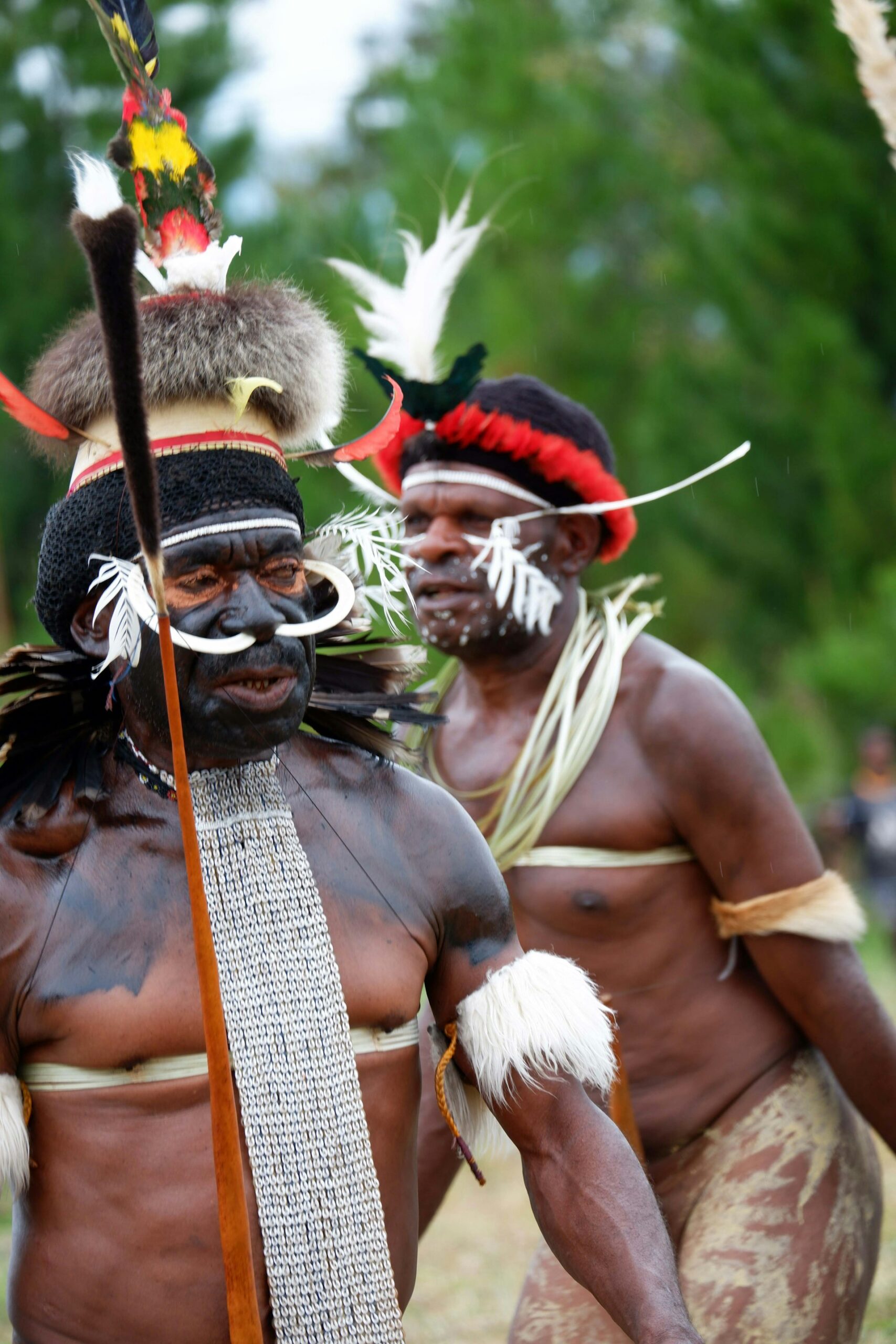 Lasting Legacies: How Colonization Reshaped Indigenous Cultures